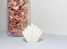 Load image into Gallery viewer, Shelly